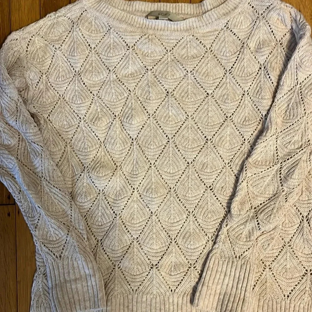 Gorgeous Loft sweater